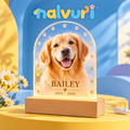 nalvuri™ NameLight Personalized Pet Memorial LED Display, Arched Acrylic Dog & Cat Photo Plaque with USB Wooden Base